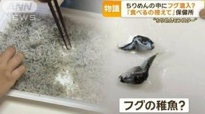 ちりめんの中にフグ混入？　「食べるの控えて」保健所　「ちりめんモンスター」物議