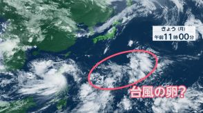 “元台風”の影響で激しい雨に警戒…岩手県は1時間50ミリの滝のような雨降るおそれ　日本の南に“台風の卵”?