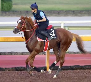 ＪＲＡが凱旋門賞とアイリッシュチャンピオンＳの馬券発売を発表　日本調教馬はシンエンペラーが出走予定