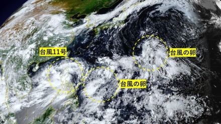 続々台風発生か　日本の南には台風11号に続き“台風の卵”が