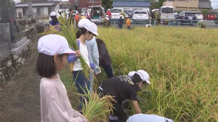 慣れない鎌を手に約30kg収穫…小学生が稲刈りに挑戦 総合学習の時間で5年生が稲作体験 愛知県岡崎市