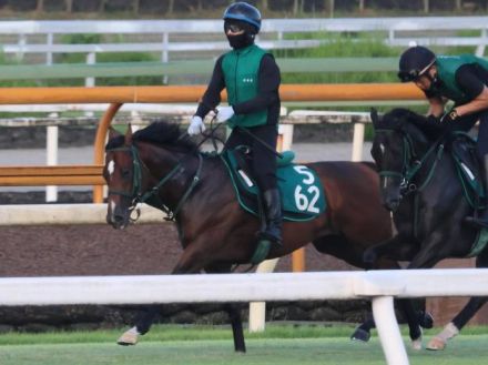 母系にGI馬複数 師も太鼓判押すパンジャタワー/関西馬メイクデビュー情報