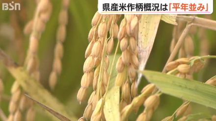 新潟県 作況指数平年並みの「99から101」コメの品薄感解消に期待