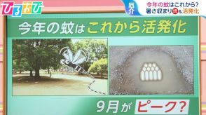 「家に入るときにフェイント」が有効!?今年の『蚊』は9月から?活発化する蚊に刺されない方法【ひるおび】