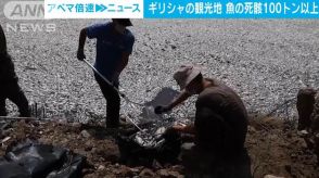 川や港に100t以上の魚の死骸　腐臭広がり観光に影響　ギリシャ