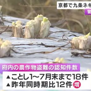 九条ネギなど農作物の窃盗被害相次ぐ　去年より件数増…警察などが農園などパトロール　京都