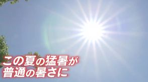 猛烈な暑さ・迷走台風・ゲリラ雷雨…この夏の天候はすべて関連  “熱帯化する日本”「史上最も暑い夏」はこれからの普通の暑さに　偏西風の北への蛇行と“異常に高い”海面水温が背景に