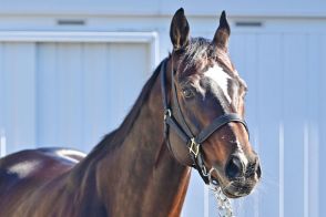 【セントウルＳ・先手必勝】揃いに揃った外差しの〝お膳立て〟　９歳馬トゥラヴェスーラが突き抜ける！