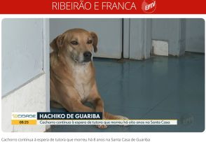 《ブラジル》ブラジル版忠犬ハチ公＝亡くなった飼い主待ち続け8年