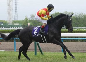 【古馬次走】ジャスティンパレスは天皇賞・秋に直行へ