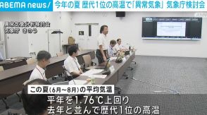 今年の夏 歴代1位の高温で「異常気象」 気象庁検討会