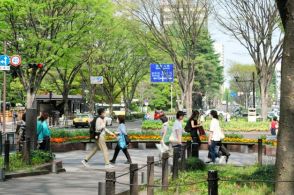 木陰の減少「服を脱いで裸で歩くようなもの」　名誉教授の指摘と提言