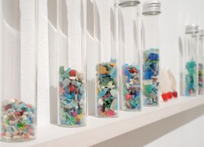 あなたも知らない間に食べている？ 今、マイクロプラスチックをめぐり日本の海で起きていること。アニエスベーが警鐘を鳴らす理由