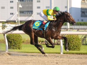 【川崎・若武者賞枠順】無敗制覇狙うベアバッキューンは4枠4番