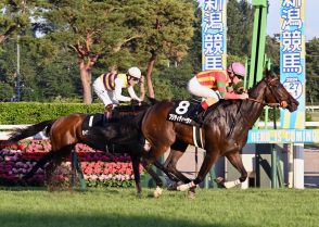 新馬、ダリア賞連勝のプリティディーヴァが左前脚骨折、程度は軽く全治３カ月の診断