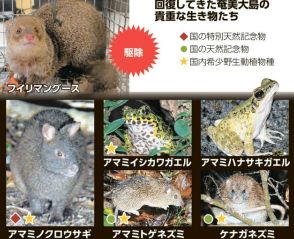 「マングース根絶」の奄美大島　回復してきた希少な野生動物たち