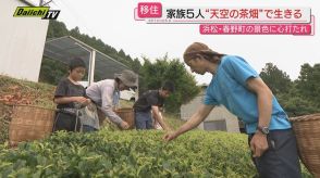 【天空の茶畑】北遠の標高４００メートルに広がる茶畑で移住家族が作るこだわりのお茶(浜松市天竜区春野町)