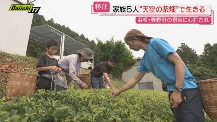 【天空の茶畑】北遠の標高４００メートルに広がる茶畑で移住家族が作るこだわりのお茶(浜松市天竜区春野町)