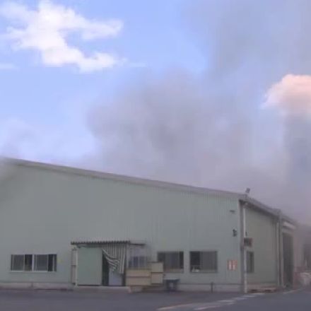 津山市の木材会社の工場で火事　機械から出火し木材に燃え移る　３日午後５時現在も延焼中【岡山】