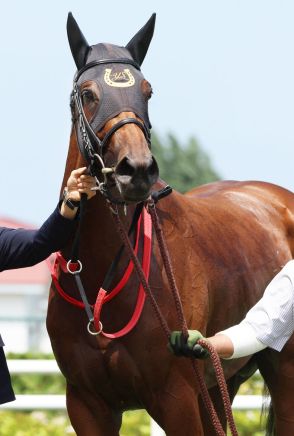 【注目馬動向】２戦２勝のカワキタマナレアはファンタジーＳが目標　杉山佳調教師「気が良すぎるので大事に」