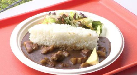 豪快な観光放水見ながら「ダムそっくり」のカレーはいかが…?普段は麓の街中で提供のご当地グルメ「黒部ダムカレー」を標高1454メートルの現地で出張販売