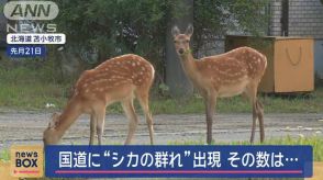 シカの群れが出現 目の前を…困惑 “秋は活発になる”被害過去最多