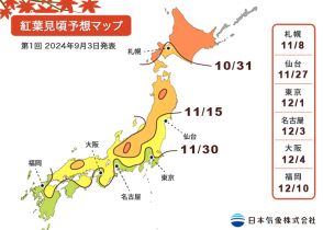 2024年の紅葉は平年並みか平年より遅く