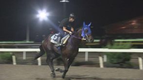 不来方賞　「フジユージーン」は４着　盛岡競馬場　中央馬と地方馬の交流戦　岩手県