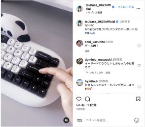 本田翼が“パンダのキーボード”をお迎え　愛くるしいデザインにファン「頭抱えるくらいかんわいい～」