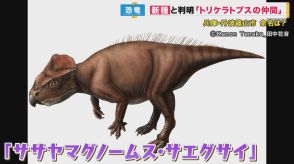 『化石の宝庫』でまた大発見　「角竜類の新種」見つかる　頭が復元できる日本初のクオリティ