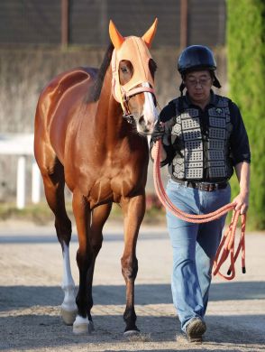 【注目馬動向】ナミュールは今秋、連覇がかかるマイルＣＳが目標