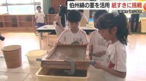 境港市特産の伯州綿の魅力知って！小学生が「茎」を有効活用した紙すきを体験（鳥取）