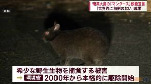 奄美大島で外来種マングースの根絶宣言　鹿児島県