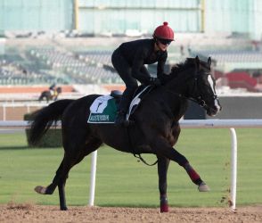 ディープインパクト産駒オーギュストロダン　JC出走予定！愛チャンピオンSで日本馬シンエンペラーと対戦