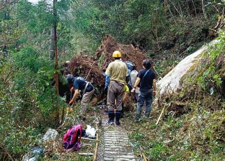 縄文杉は無事確認！ 太古の森は力強かった　台風10号の爪痕、名所ルートは土砂や倒木で寸断　屋久島観光の早期回復願いガイドら有志が除去に全力