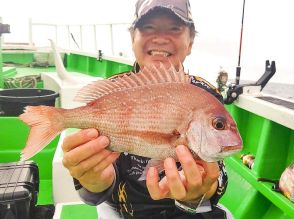 【マダイを釣りたい】日立沖ですでに好調！秋にかけて期待大！