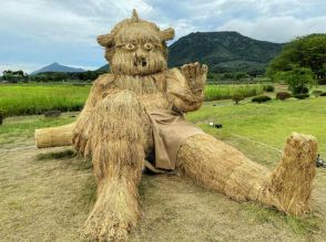 田園地帯に巨大オブジェ5体が鎮座　ムサビの学生らが稲わらで制作