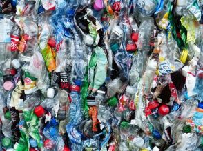 「マイクロプラスチック」体内で脳に最も多く蓄積…衝撃研究の結果＝米国