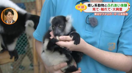 見て・触れて・大興奮！野生の王国「東北サファリパーク」で様々な動物たちの姿を心ゆくまで楽しむ！