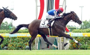 【ＰＯＧ】１日に新馬勝ちしたフードマンはサウジアラビアＲＣへ　小栗調教師「本質的にマイラー」