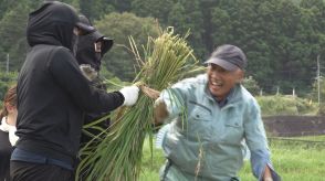 能登半島地震の被害受け“白米千枚田”の作付けは例年の1~2割に それでも迎えた稲刈りに「やっとこの日が来た」と地元の人は感慨ひとしお 石川・輪島市