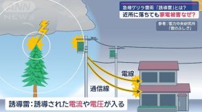 ゲリラ雷雨多発 「誘導雷」の家電被害に注意！