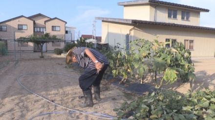 9月も熱中症に注意 迷わずエアコン使用 毎日欠かさず水分補給を