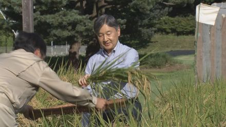 天皇陛下が“長靴姿”で皇居内の水田で稲刈り　猛暑やゲリラ豪雨も順調に生育 稲は皇室の神事などに使用