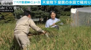 天皇陛下　皇居の水田で恒例の稲刈り　猛暑や雷雨に見舞われるも順調に成長