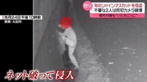 旬のシャインマスカットを窃盗　不審な2人が防犯カメラ破壊　対策しても…