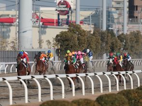 【川崎・戸塚記念結果】サントノーレが6馬身差の圧勝！重賞3勝目を挙げる