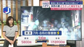 東京に落ちた雷“平年の3倍以上”　突然の雷どうやって身を守る？　専門家に聞く