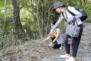 木の枝突き刺さった不審なネコの死骸　松山総合公園で見つかり監視強化（愛媛）