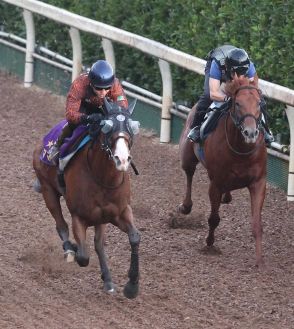 【セントウルS】ママコチャ　坂路で動き圧巻、鮫島駿「いい仕上がりでトライアルに臨めそう」